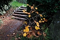 Parco Europa Autunno_086